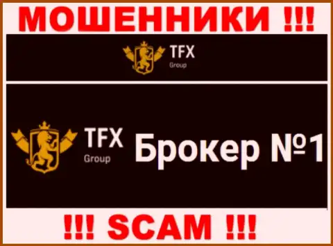 Не нужно доверять средства TFX Group, т.к. их сфера работы, Forex, разводняк