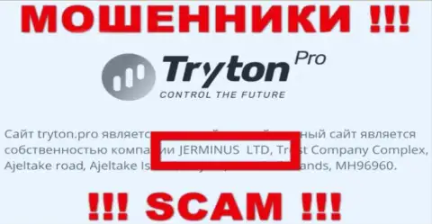 Информация о юридическом лице Тритон Про - это компания Jerminus LTD