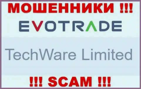 Юридическим лицом EvoTrade Com считается - TechWare Limited