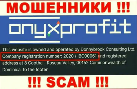 Регистрационный номер, который принадлежит компании OnyxProfit - 2020 / IBC00061