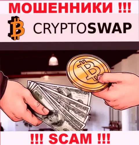 Довольно опасно доверять Crypto Swap Net, оказывающим услуги в области Криптообменник