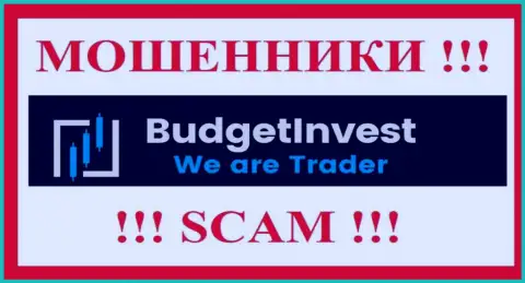 BudgetInvest Org - это МОШЕННИКИ !!! Финансовые средства не возвращают обратно !!!