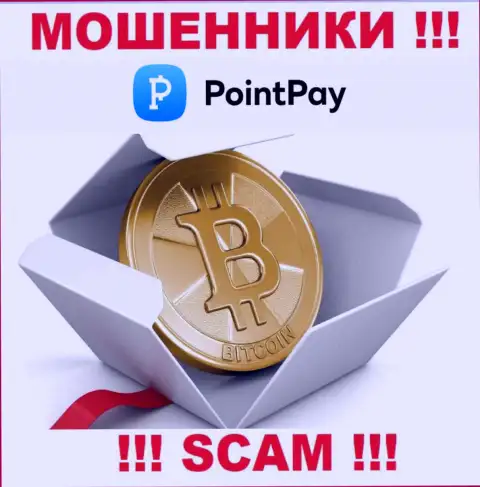 Point Pay ни рубля Вам не дадут забрать, не платите никаких комиссионных сборов