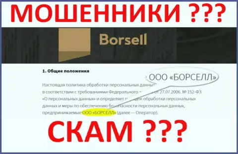ООО БОРСЕЛЛ - это компания, которая руководит мошенниками Борселл Ру
