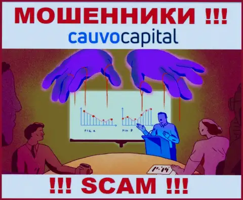 Довольно-таки рискованно соглашаться сотрудничать с internet разводилами Cauvo Capital, присваивают денежные активы