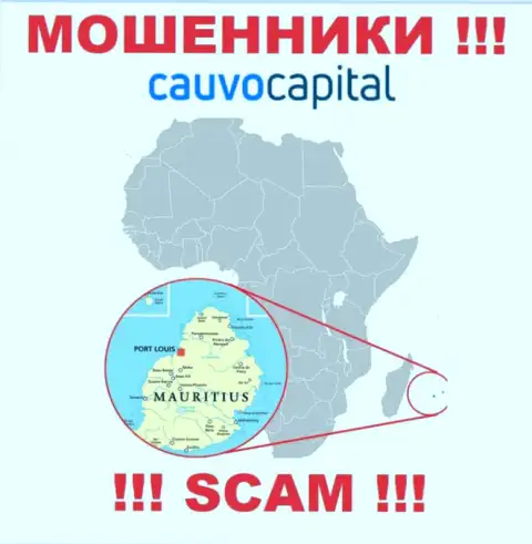Компания CauvoCapital Com ворует финансовые вложения лохов, расположившись в офшоре - Маврикий