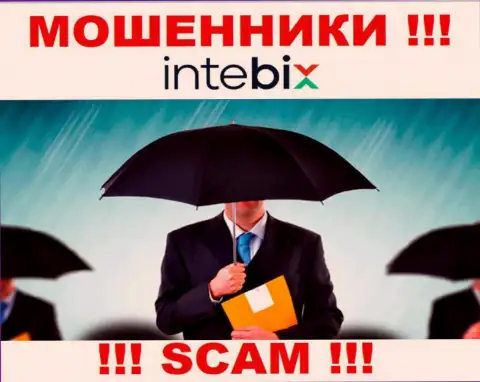 Руководство Intebix старательно скрыто от internet-пользователей