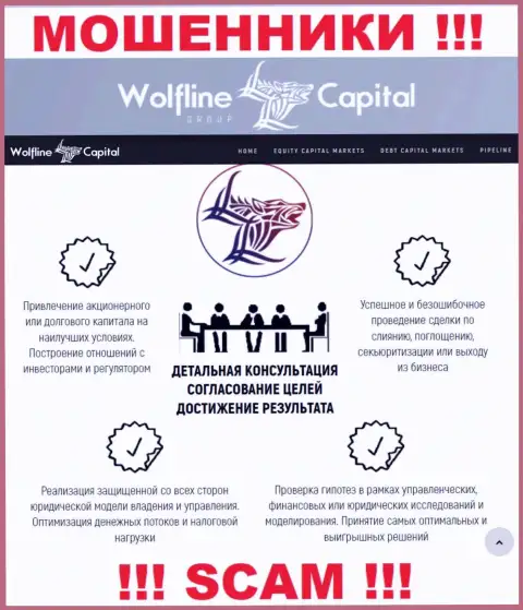 Не стоит верить, что область деятельности Wolfline Capital - Финансовый консалтинг легальна - это надувательство