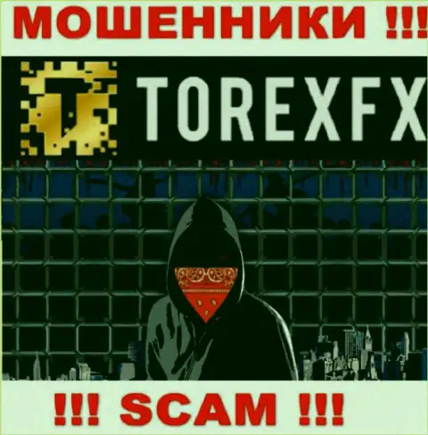 Torex FX не разглашают сведения о руководстве конторы