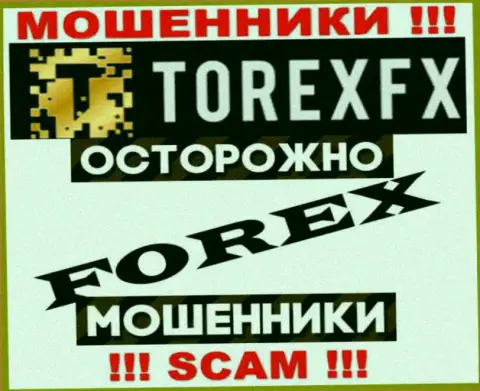 Сфера деятельности TorexFX: FOREX - отличный доход для интернет-мошенников