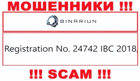 Номер регистрации организации Binariun, которую лучше обходить десятой дорогой: 24742 IBC 2018