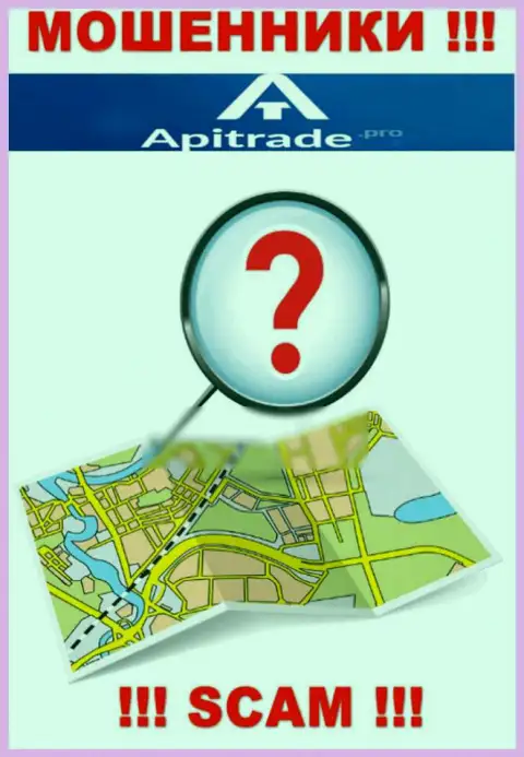 По какому именно адресу зарегистрирована организация ApiTrade ничего неизвестно - ЛОХОТРОНЩИКИ !!!