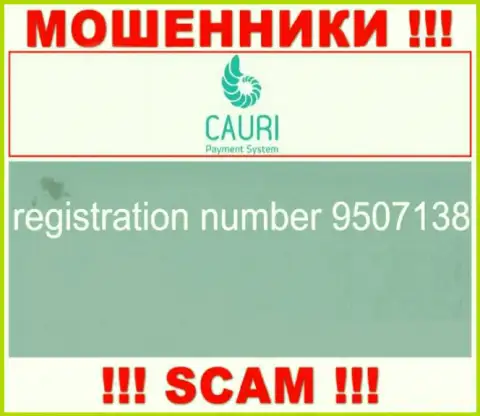 Регистрационный номер, который принадлежит противоправно действующей организации Каури - 9507138
