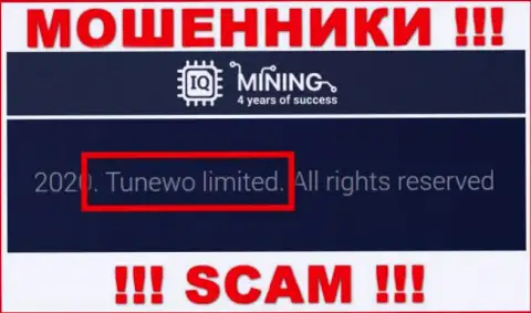 Махинаторы АйКьюМайнинг Ком написали, что именно Tunewo Limited управляет их лохотронным проектом