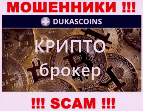 Сфера деятельности аферистов DukasCoin - это Крипто торговля, однако имейте ввиду это надувательство !