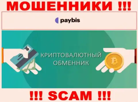 Крипто обменник это вид деятельности противозаконно действующей конторы PayBis