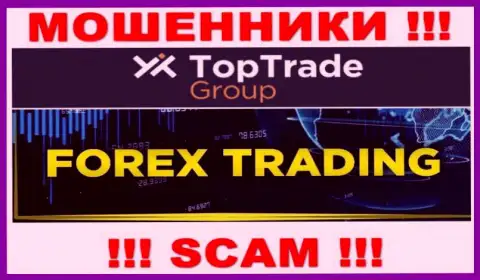Top Trade Group это internet мошенники, их деятельность - FOREX, нацелена на грабеж депозитов доверчивых клиентов