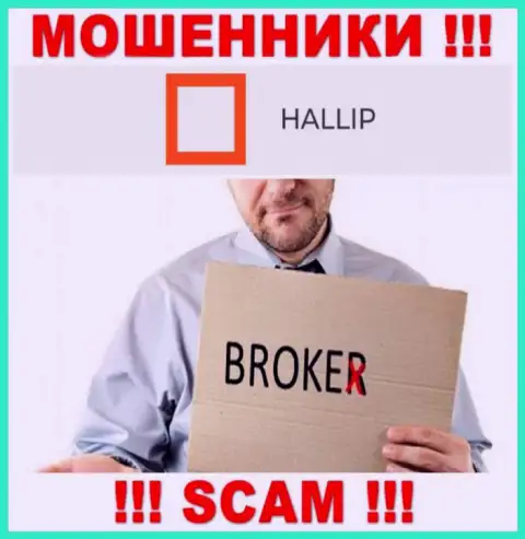 Сфера деятельности internet мошенников Hallip - это Брокер, но знайте это разводняк !