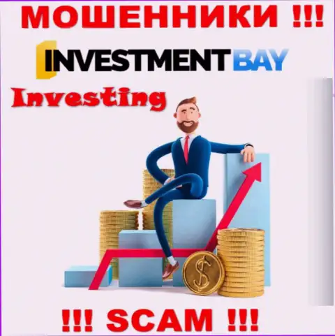Не стоит верить, что область работы InvestmentBay Com - Инвестиции легальна - это кидалово