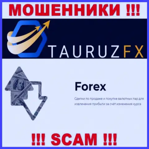 ФОРЕКС - это то, чем промышляют интернет-мошенники TauruzFX Com