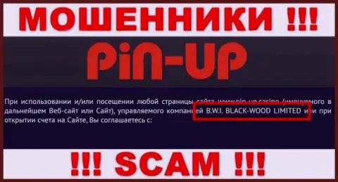 Мошенники Pin UpCasino принадлежат юр лицу - B.W.I. BLACK-WOOD LIMITED