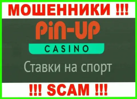 Основная работа PinUp Casino - это Casino, будьте осторожны, работают преступно