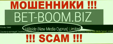 Юр лицом, владеющим интернет мошенниками Bet-Boom Biz, является Hillside (New Media Cyprus) Limited