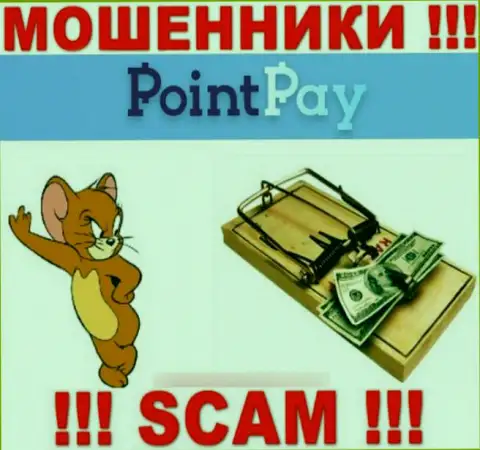 Point Pay LLC - это МОШЕННИКИ, не стоит верить им, если станут предлагать пополнить депозит