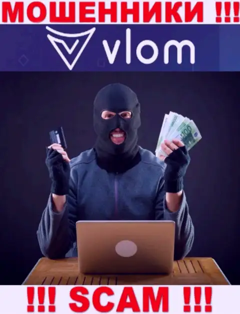 В компании Vlom запудривают мозги лохам и заманивают в свой лохотронный проект