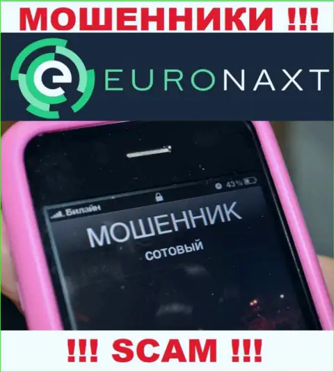 Вас пытаются раскрутить на деньги, Euronaxt LTD подыскивают новых лохов