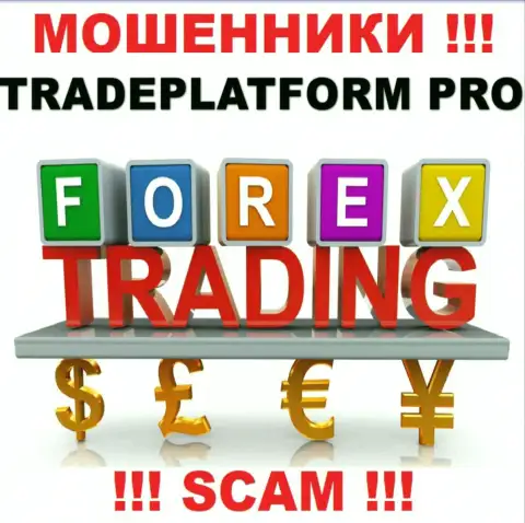 Не стоит верить, что деятельность TradePlatform Pro в сфере Форекс законна