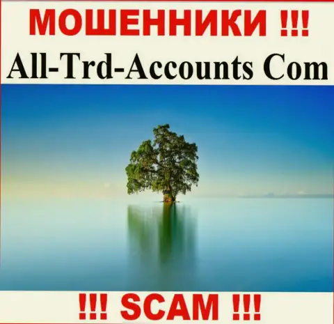 All-Trd-Accounts Com прикарманивают средства и остаются без наказания - они прячут инфу о юрисдикции