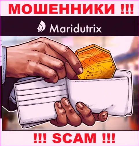 Крипто кошелек - в указанной области орудуют наглые мошенники Maridutrix Com