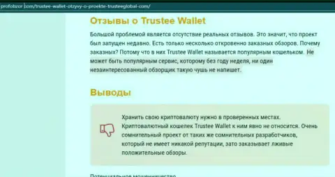 Trustee Wallet - это МОШЕННИКИ ! Прикарманивают финансовые средства наивных людей (обзор)