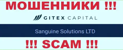 Юридическое лицо GitexCapital Pro - это Sanguine Solutions LTD, такую информацию предоставили мошенники у себя на web-портале