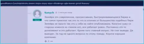 Реальный отзыв реального валютного трейдера компании Зинейра Ком, взятый с сайта gorodfinansov com