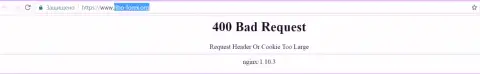 Официальный интернет-сайт форекс брокера Фибо Груп некоторое количество дней недоступен и выдает - 400 Bad Request